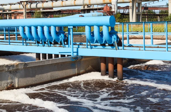 MUNICIPAL SEWAGE