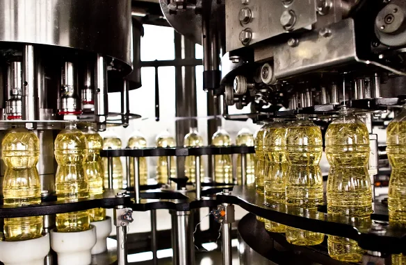 PHARMACEUTICAL FOOD
