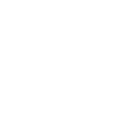INDEPENDENT R&D &INDUSTRIALIZATION