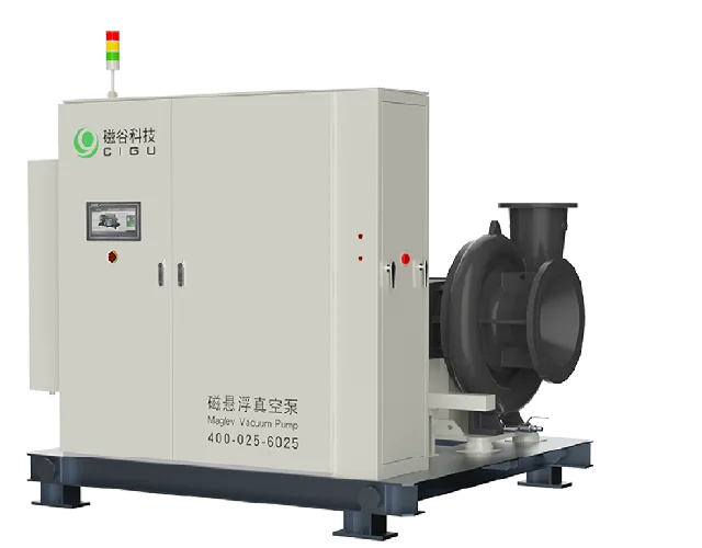 Maglev Vacuum Pumps