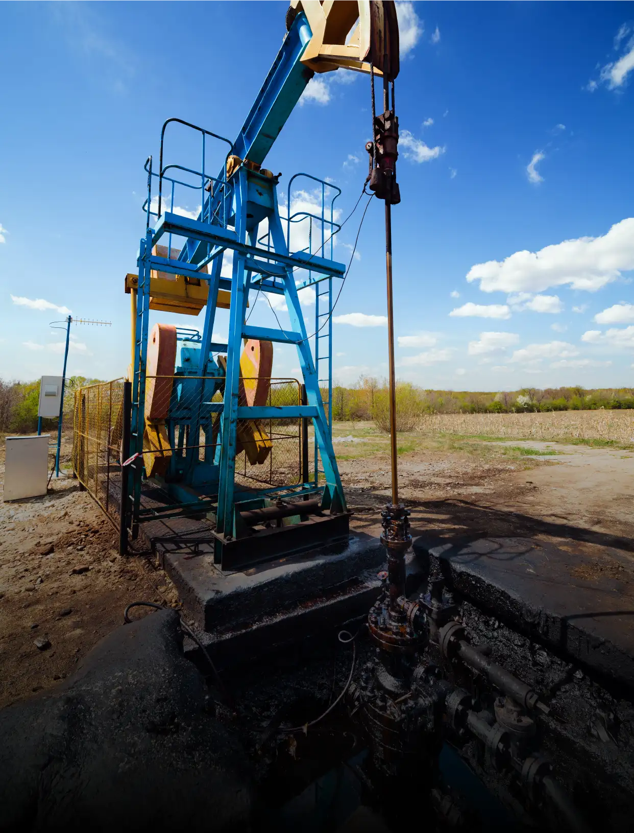 PETROCHEMICAL INDUSTRY